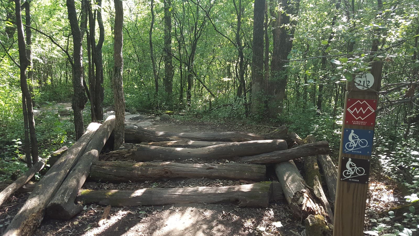 Lebanon Hills Mountain Bike Trails - Image 1