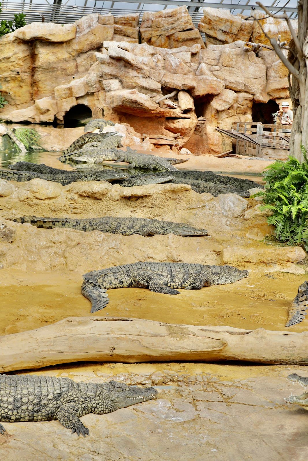La Ferme aux Crocodiles - Image 1