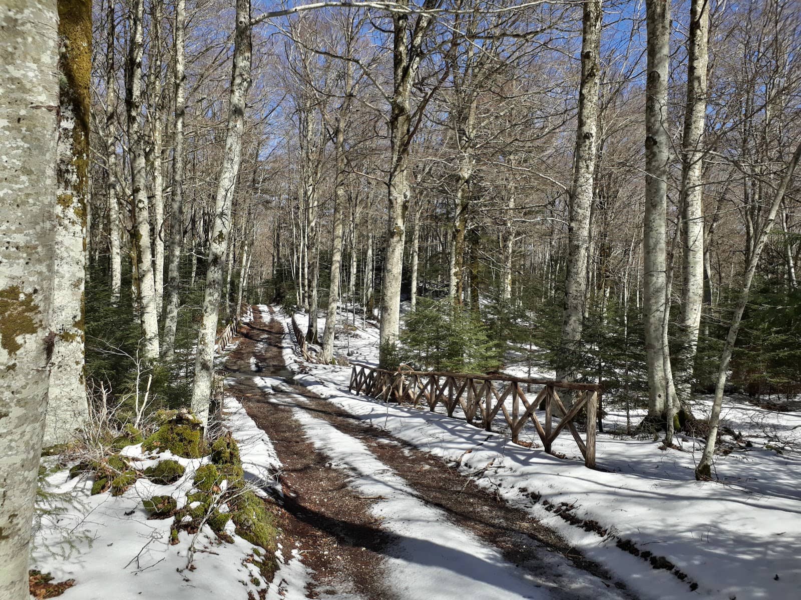 Scenic Trails