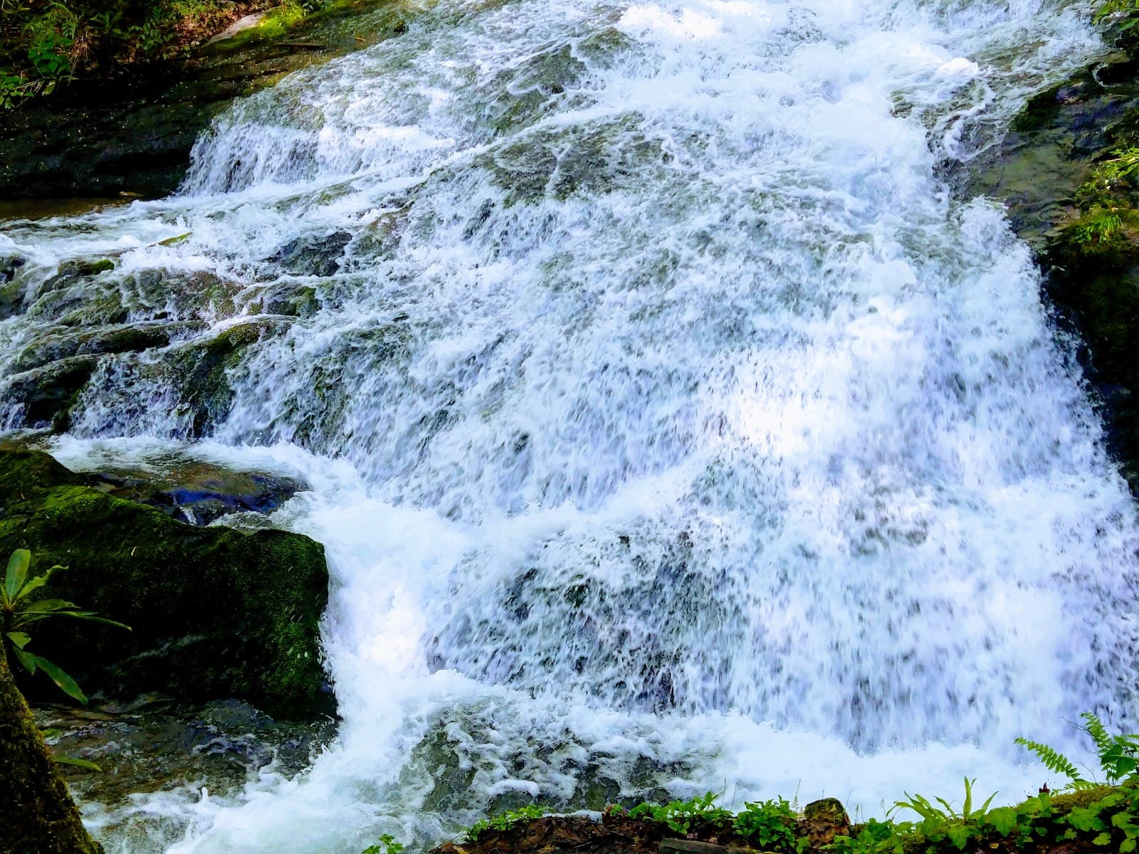 Chasteen Creek Cascades - Image 1