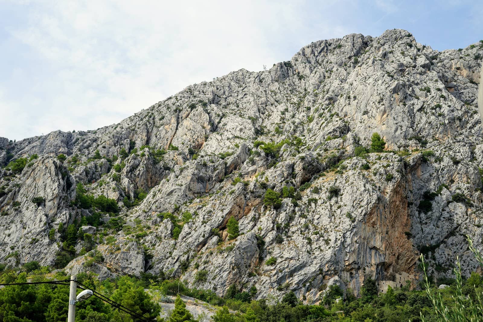 Vertical photo