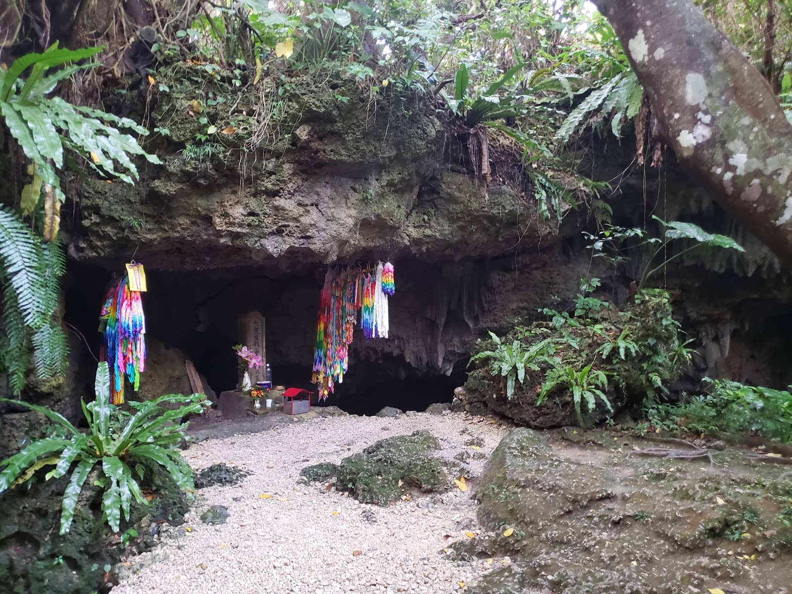 The Dark & Humid Interior