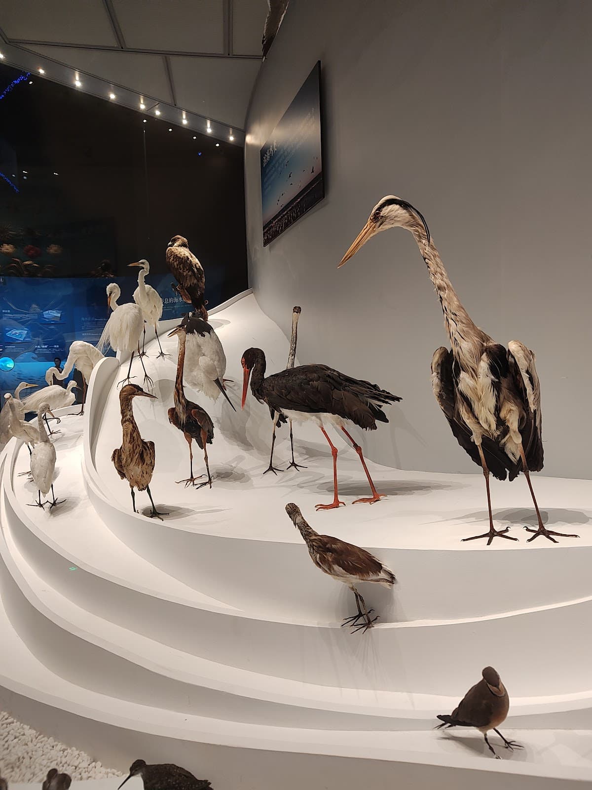 National Maritime Museum of China - Image 1