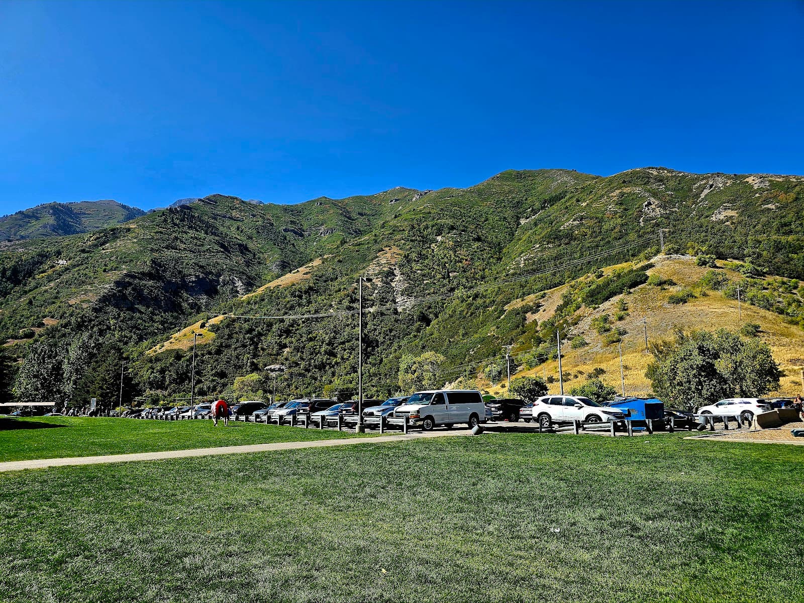 Vivian Park - Image 1