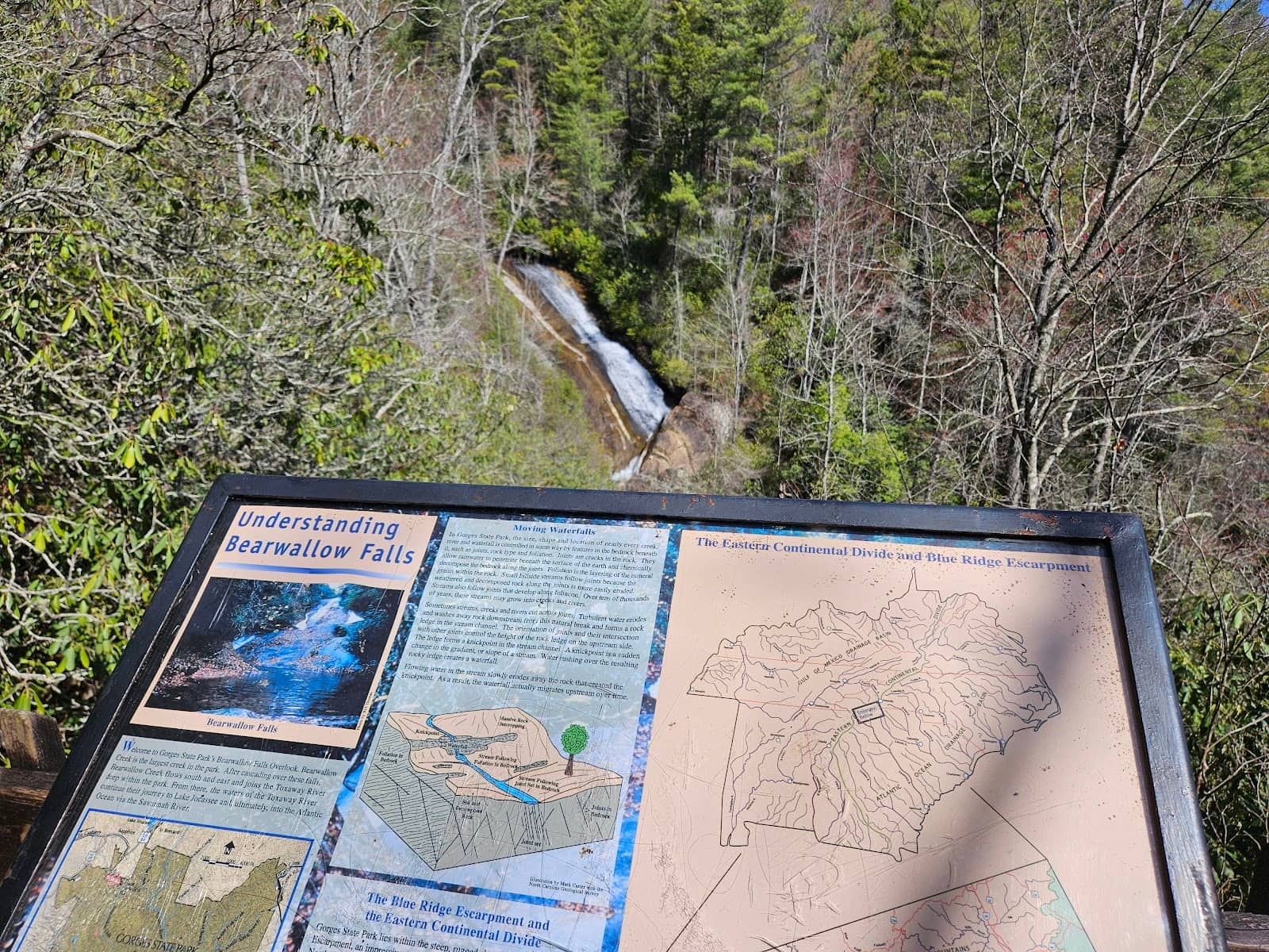 Vertical photo