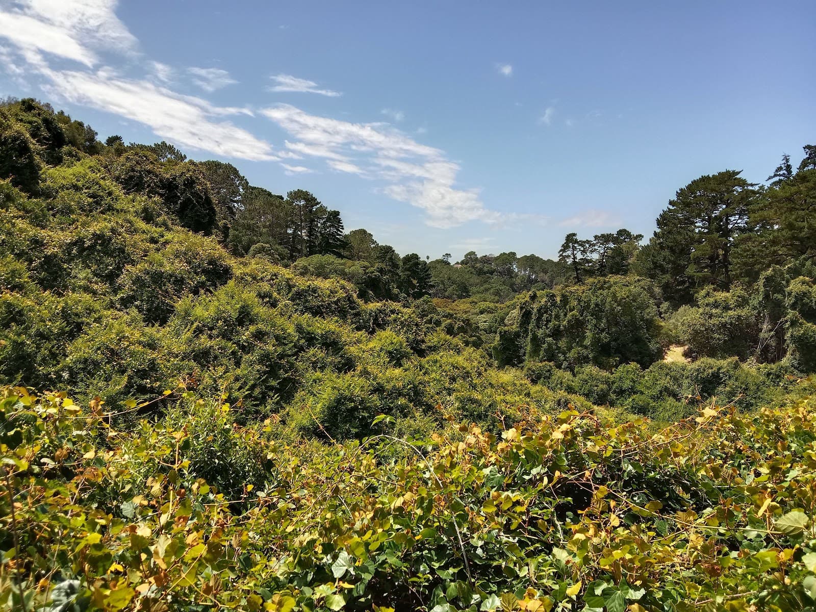 De Hel Nature Area - Image 1