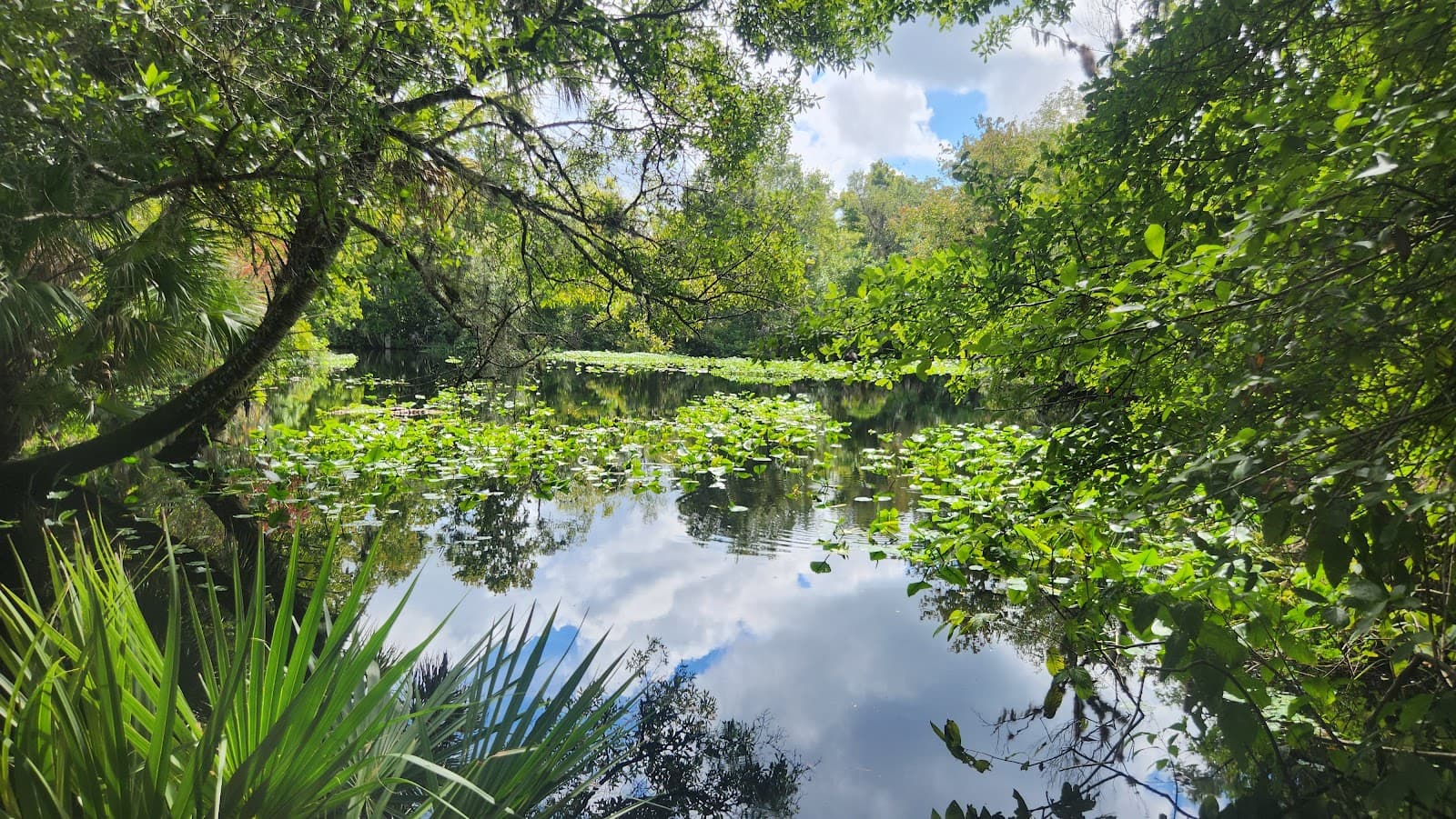 Rock Springs Run State Reserve - Image 1
