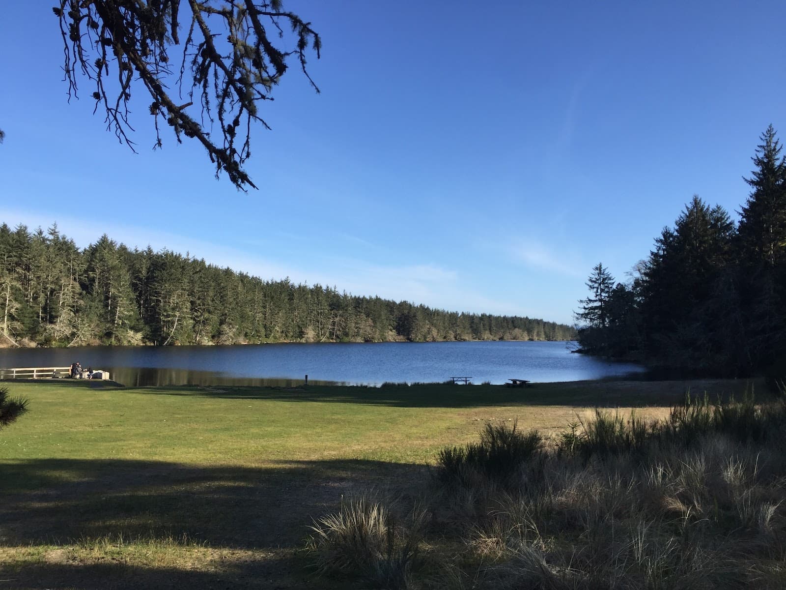 Coffenbury Lake - Image 1