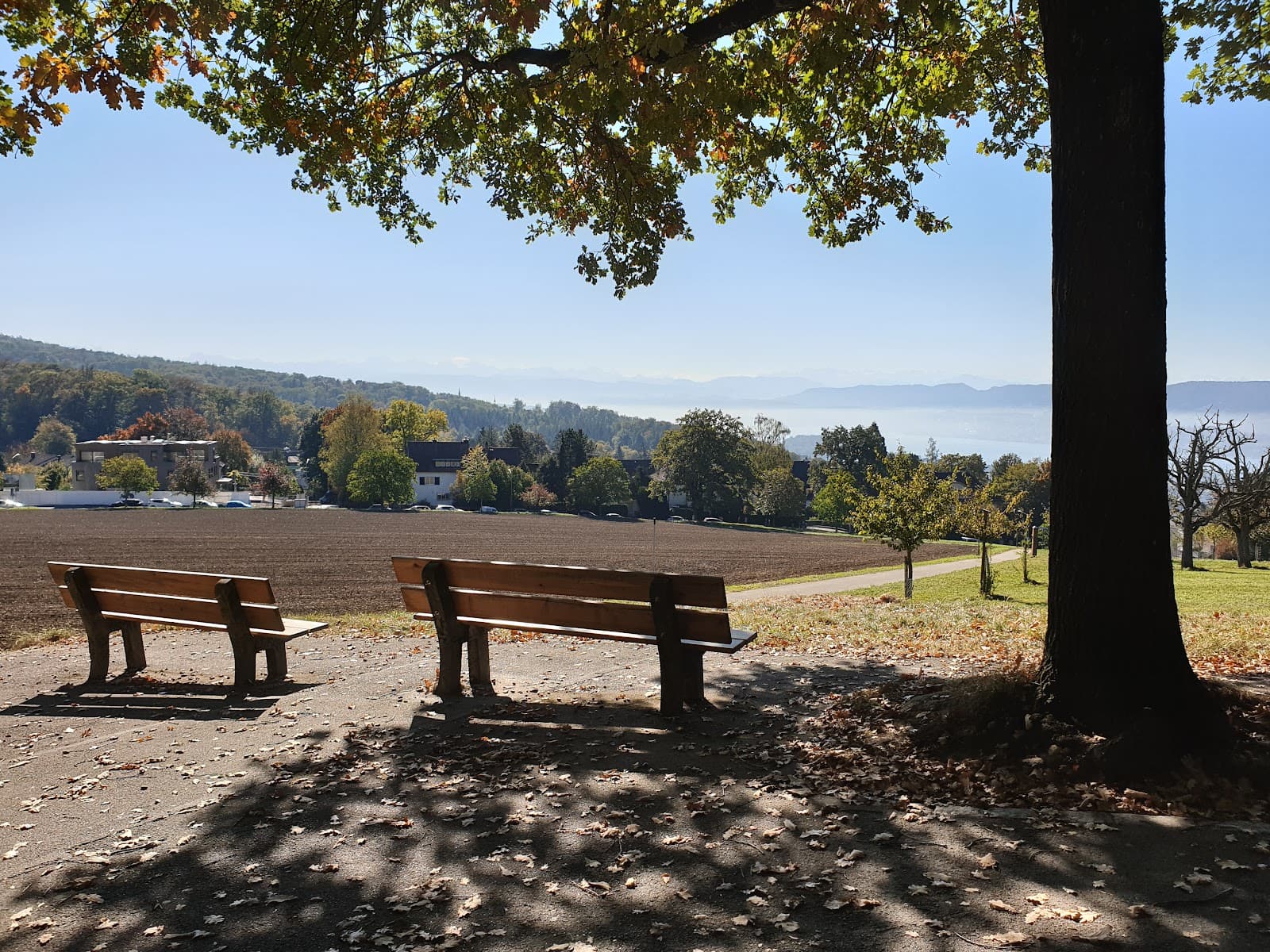 Fluntern & Hottingen Zurich - Image 1