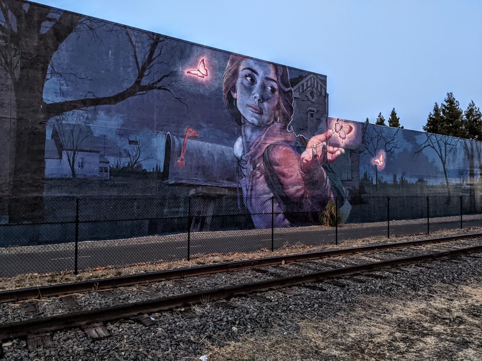 Rail Arts District (RAD) Murals - Image 1