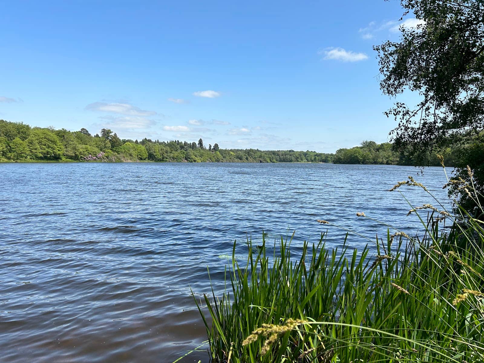The 'Other Hogwarts Great Lake'