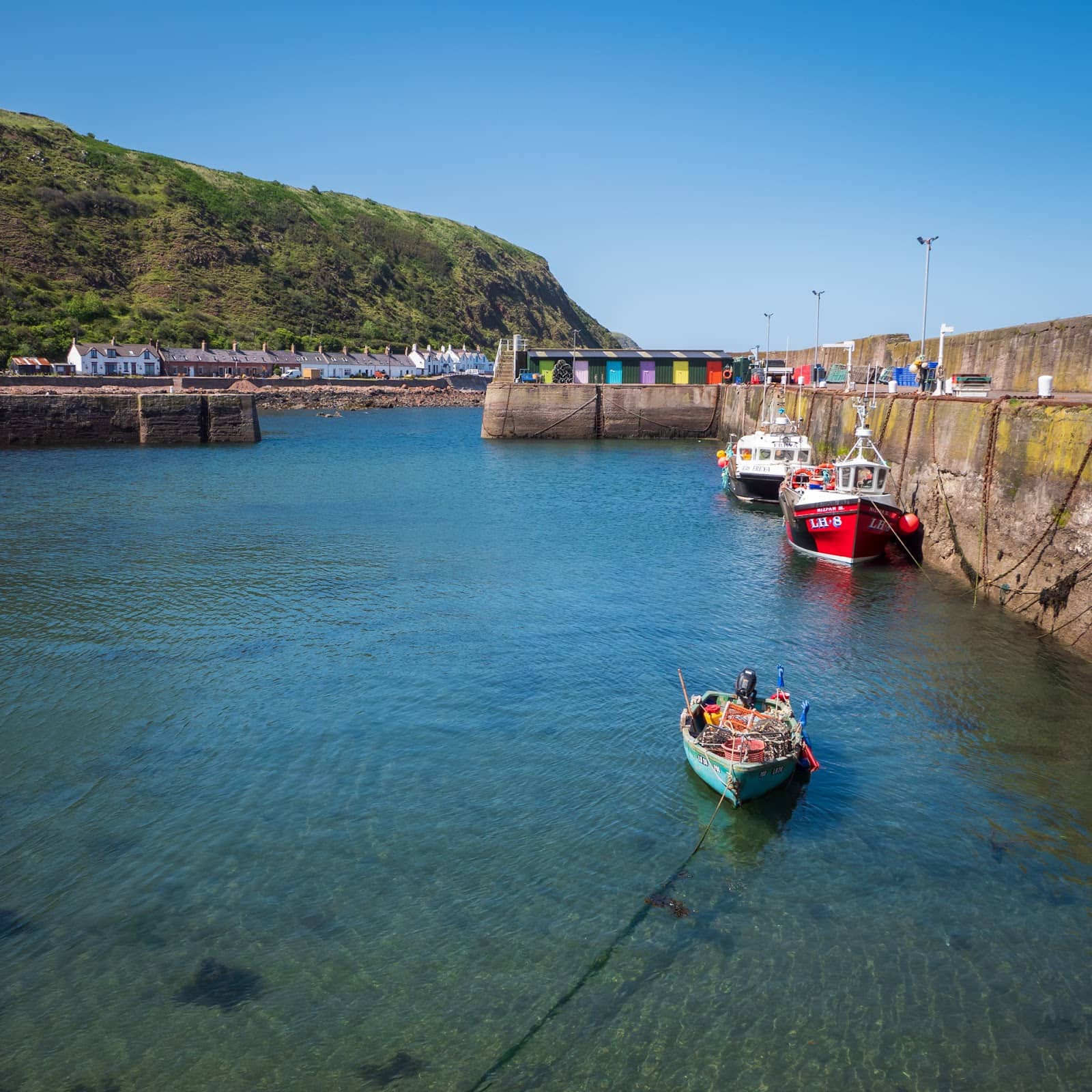 Rock Pool Exploration