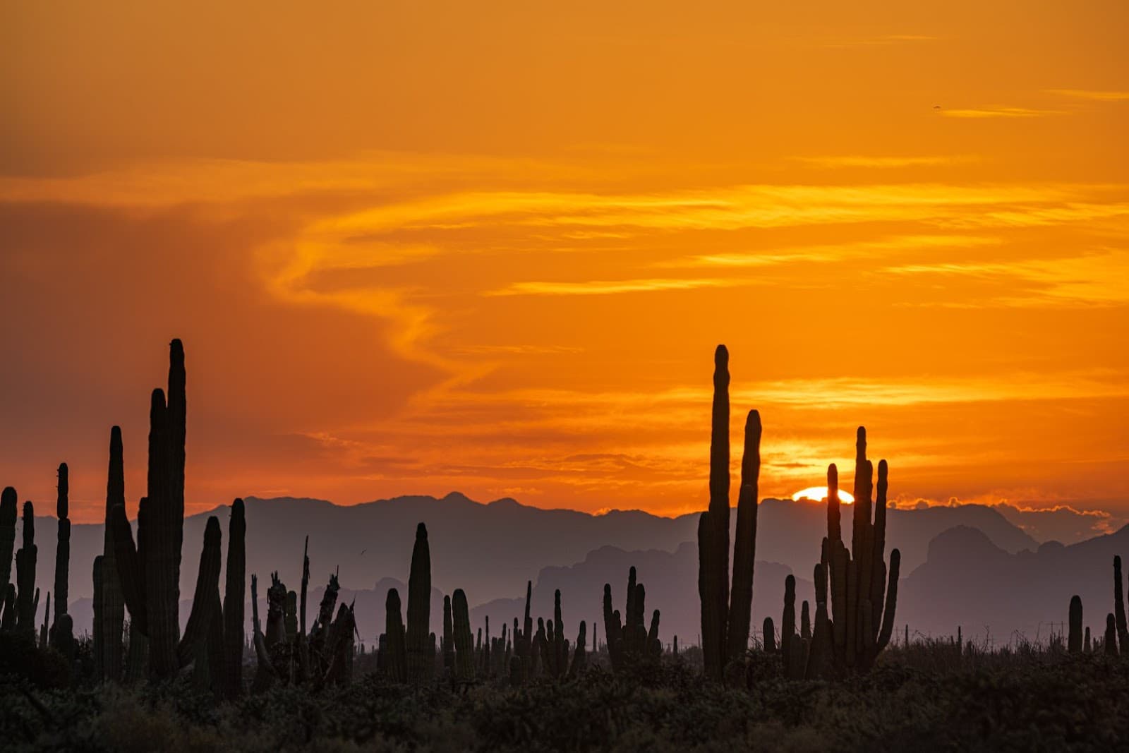 Río Sonora Route (scenic drive) - Image 1