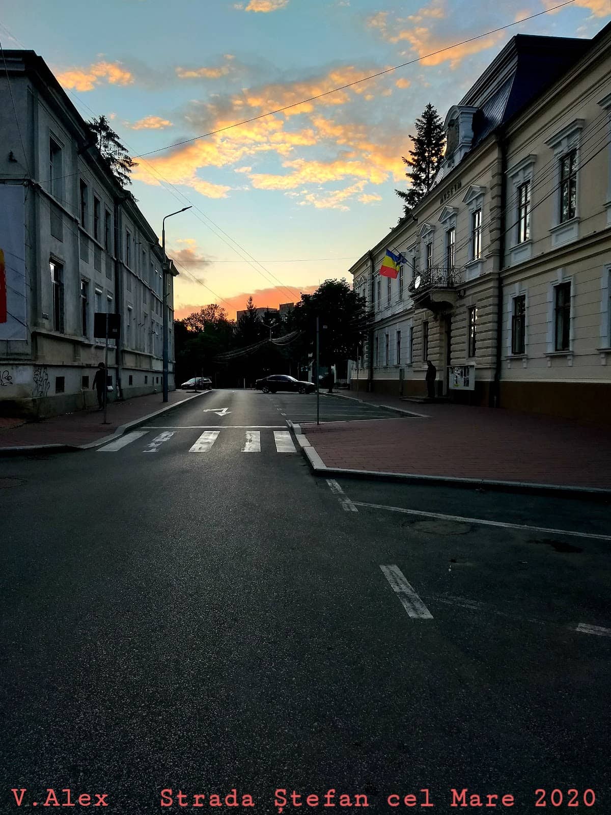 Vertical photo