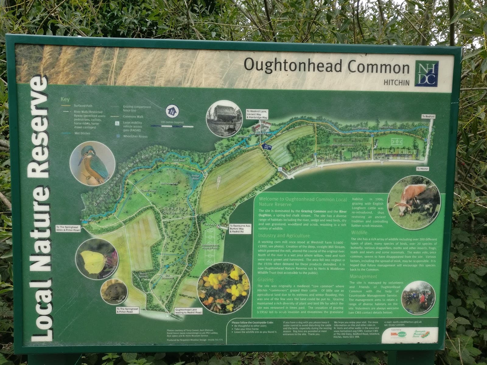 Oughtonhead Common Nature Reserve - Image 1