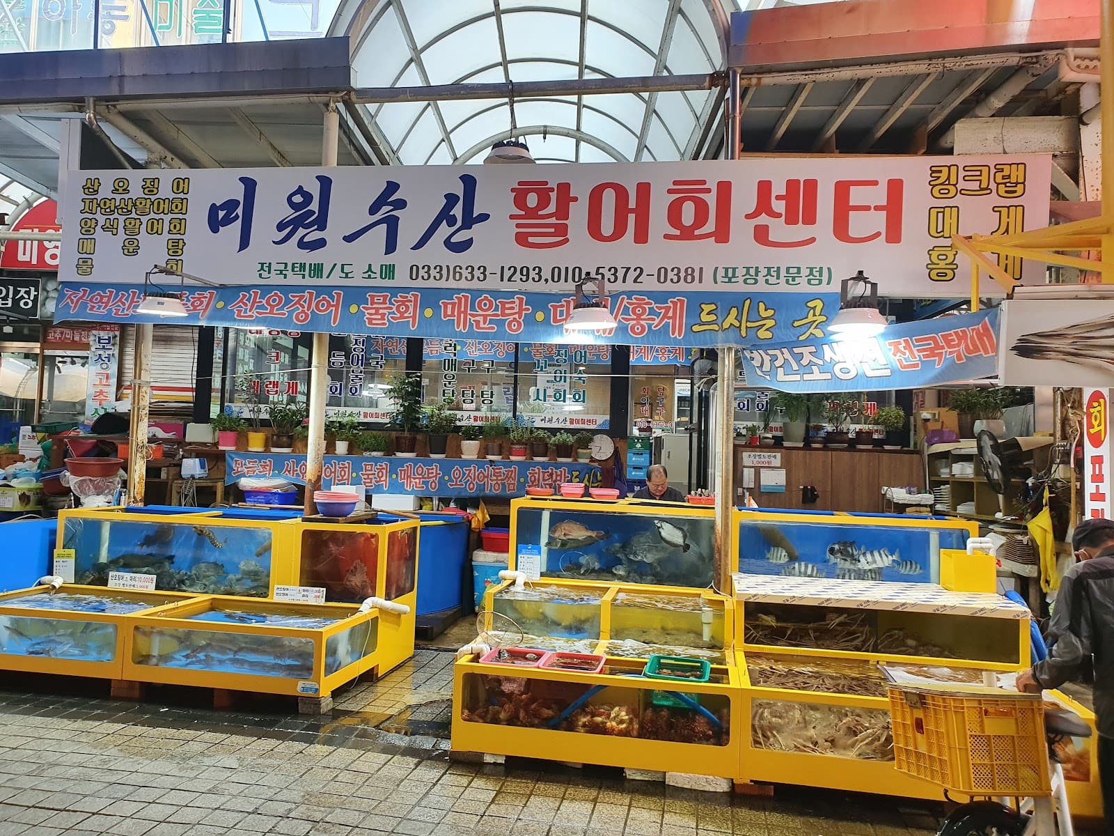 Sokcho Jungang Market - Image 1