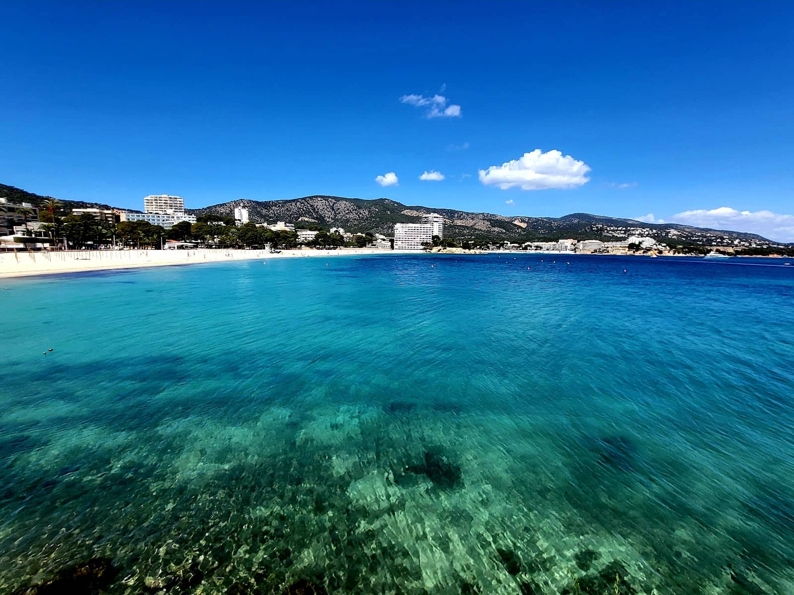 Beachfront Dining & Bars