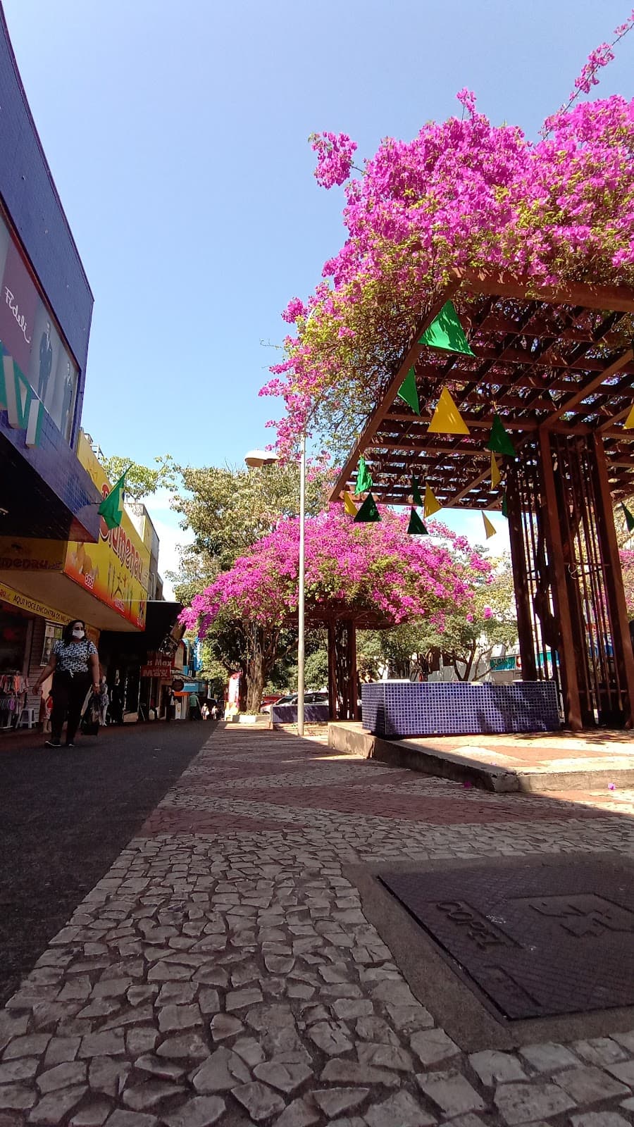 Avenida Brasil shopping street - Image 1