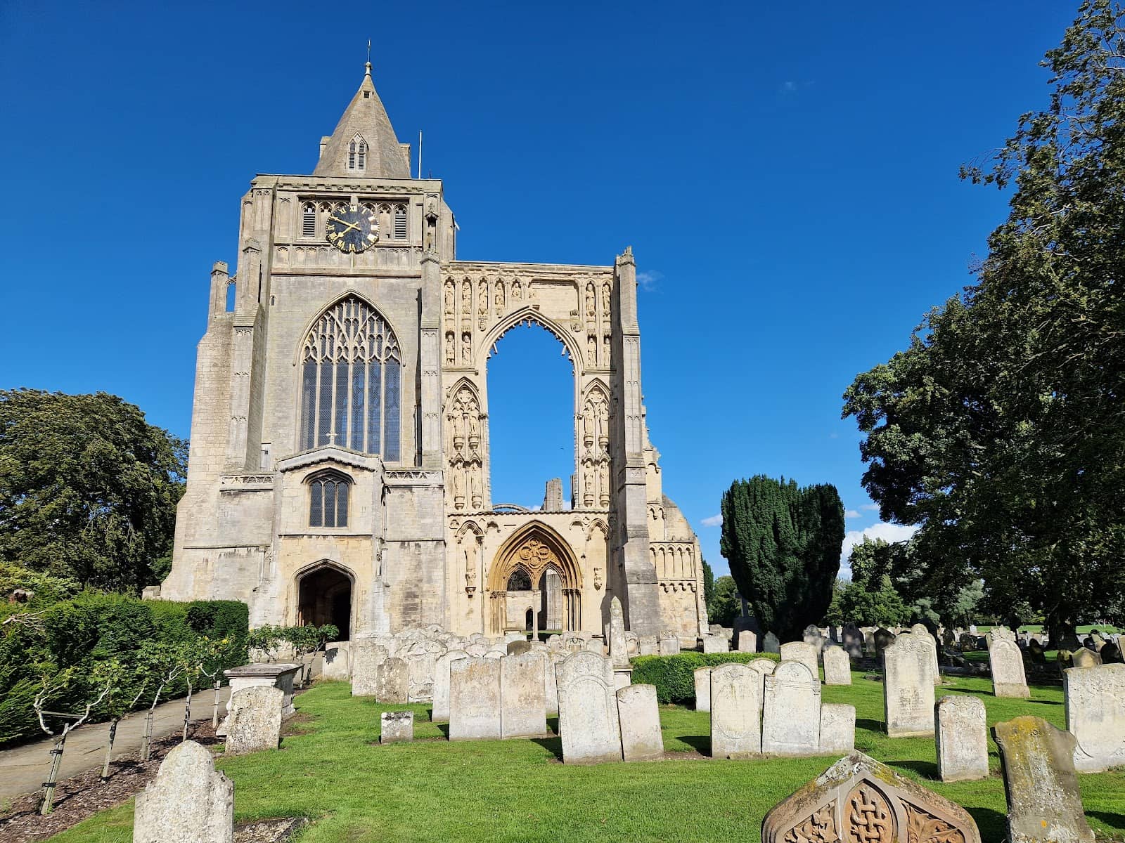 Tulips at the Abbey Event