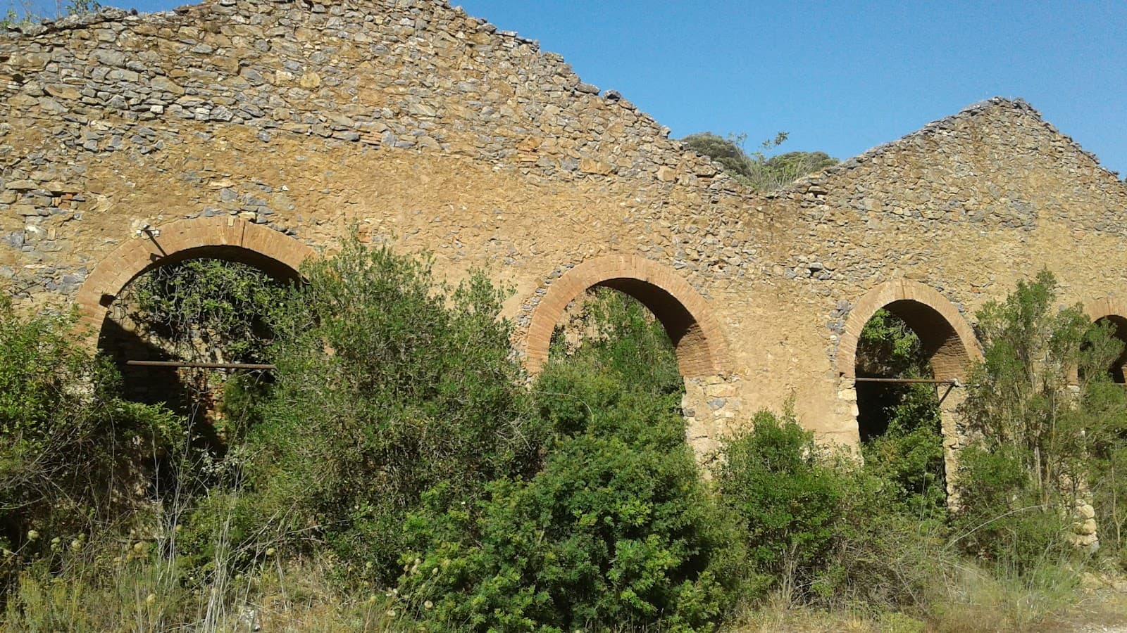 Foresta di Marganai - Image 1