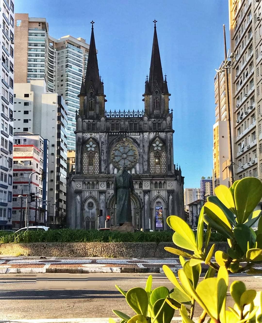 Gastronomic Delights