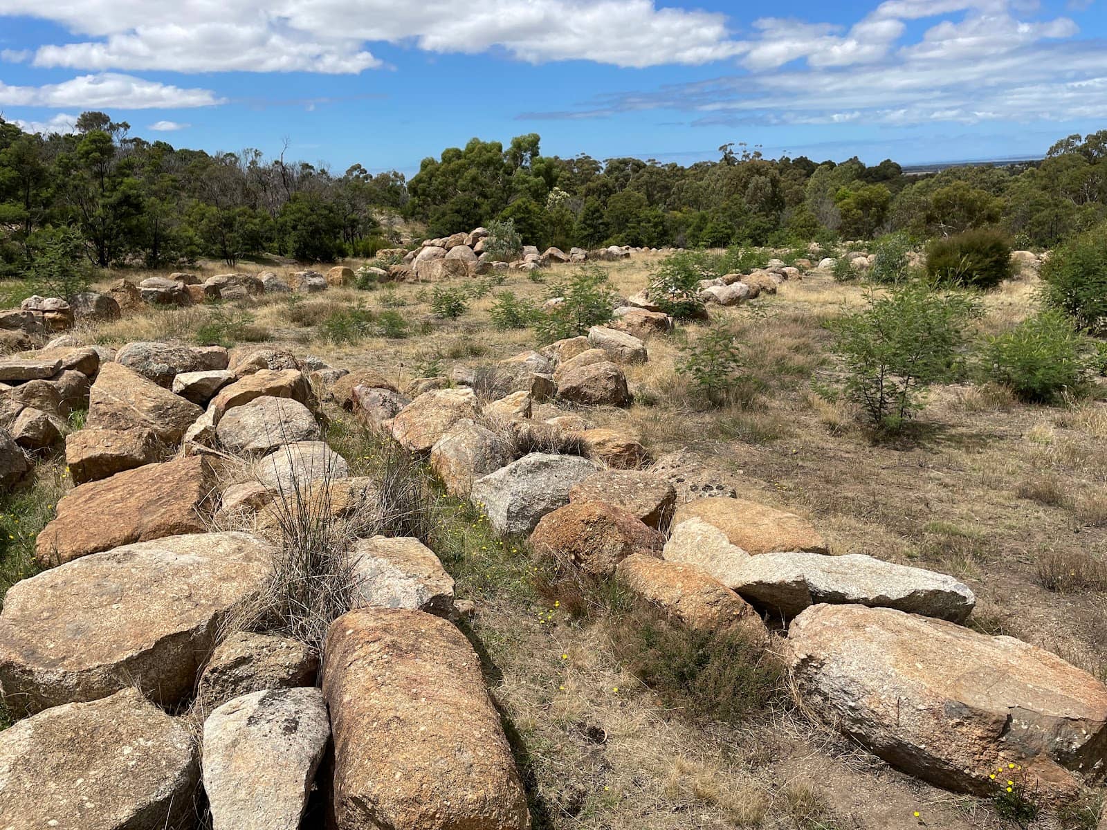 Northern Range Trail