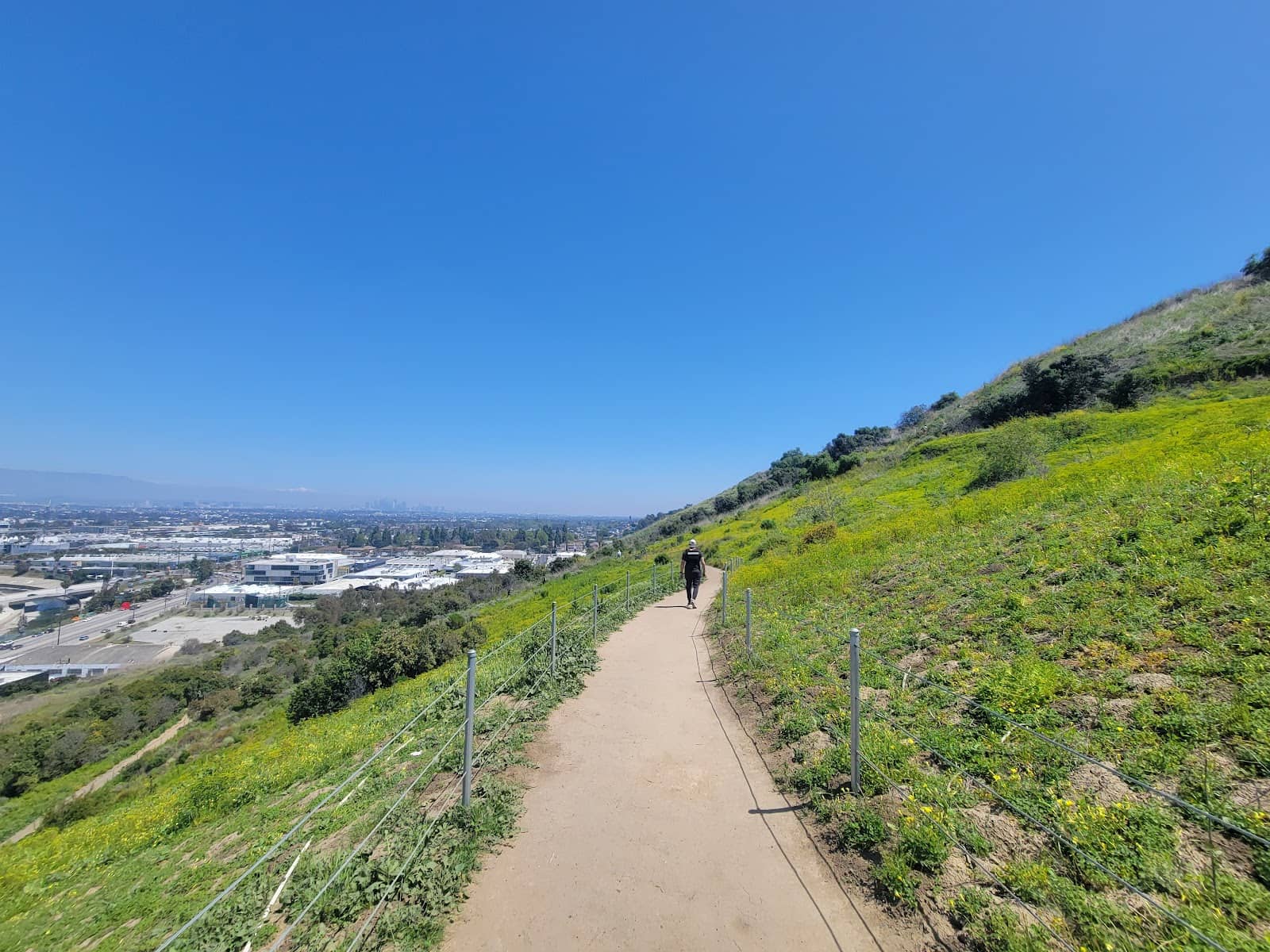 Alternative Trails