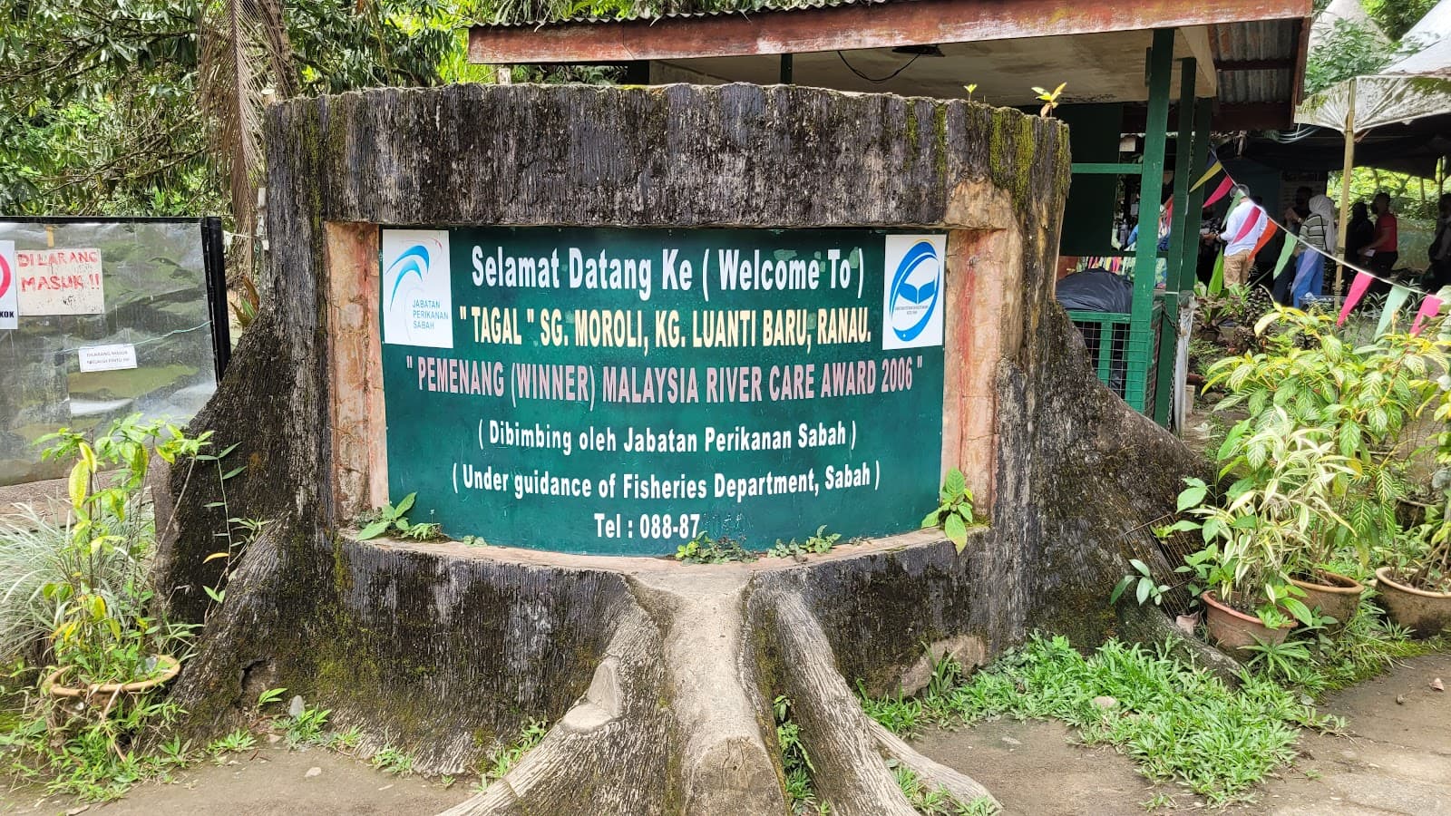 Luanti Fish Spa - Image 1