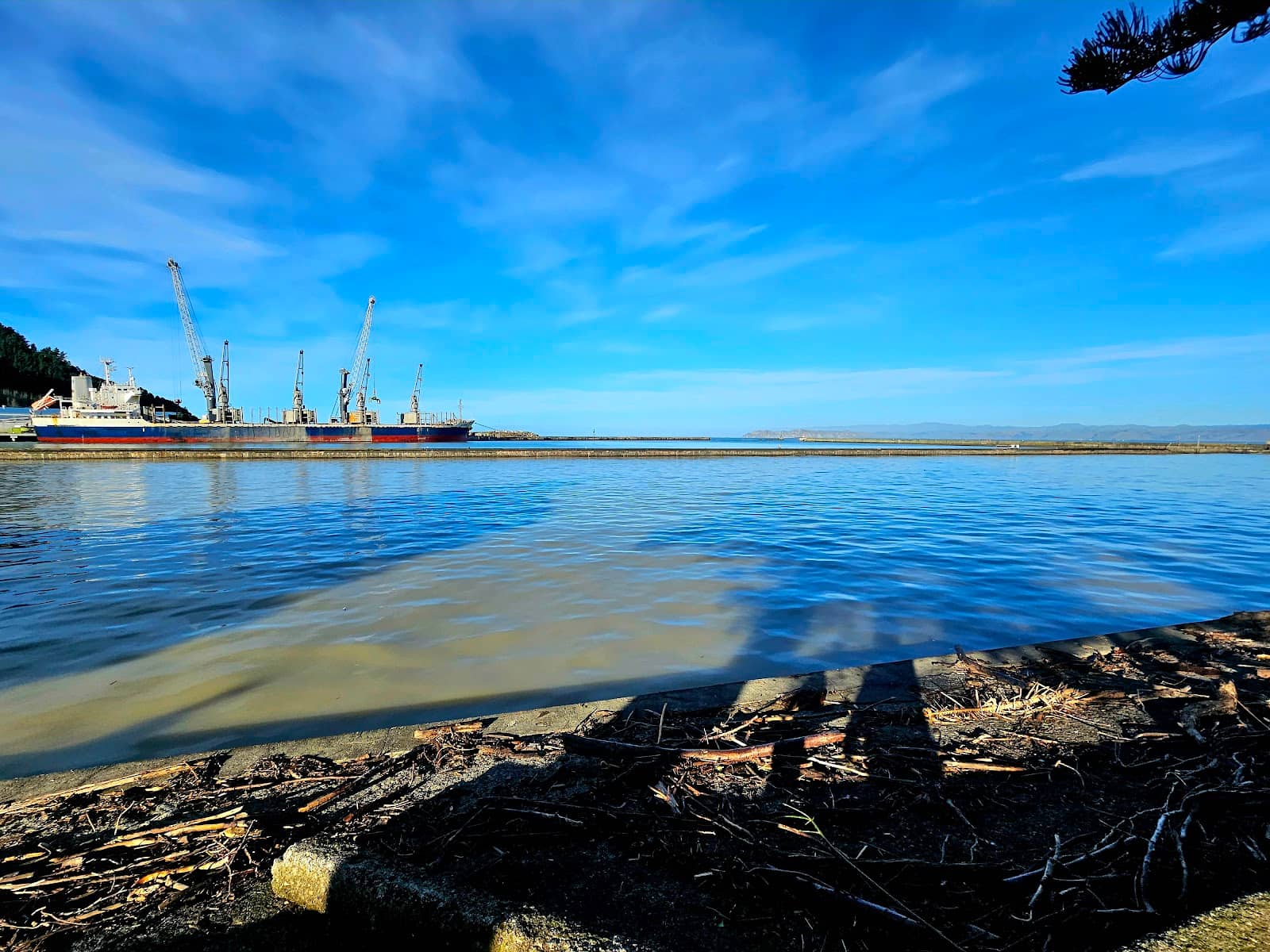 Coastal Beauty