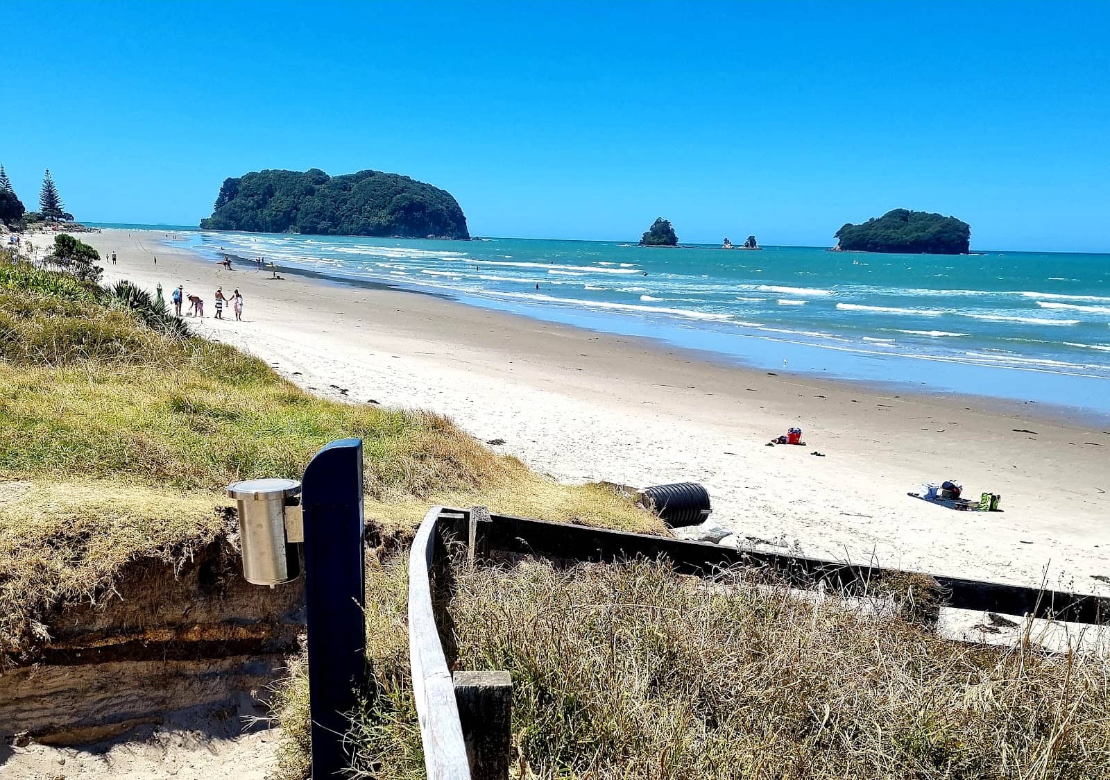 Tidal Swimming Adventure