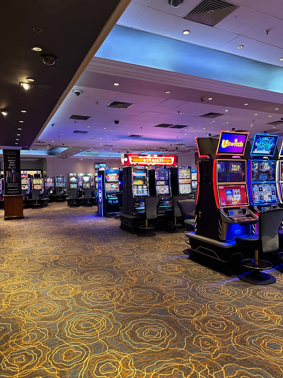 Casino Floor Action