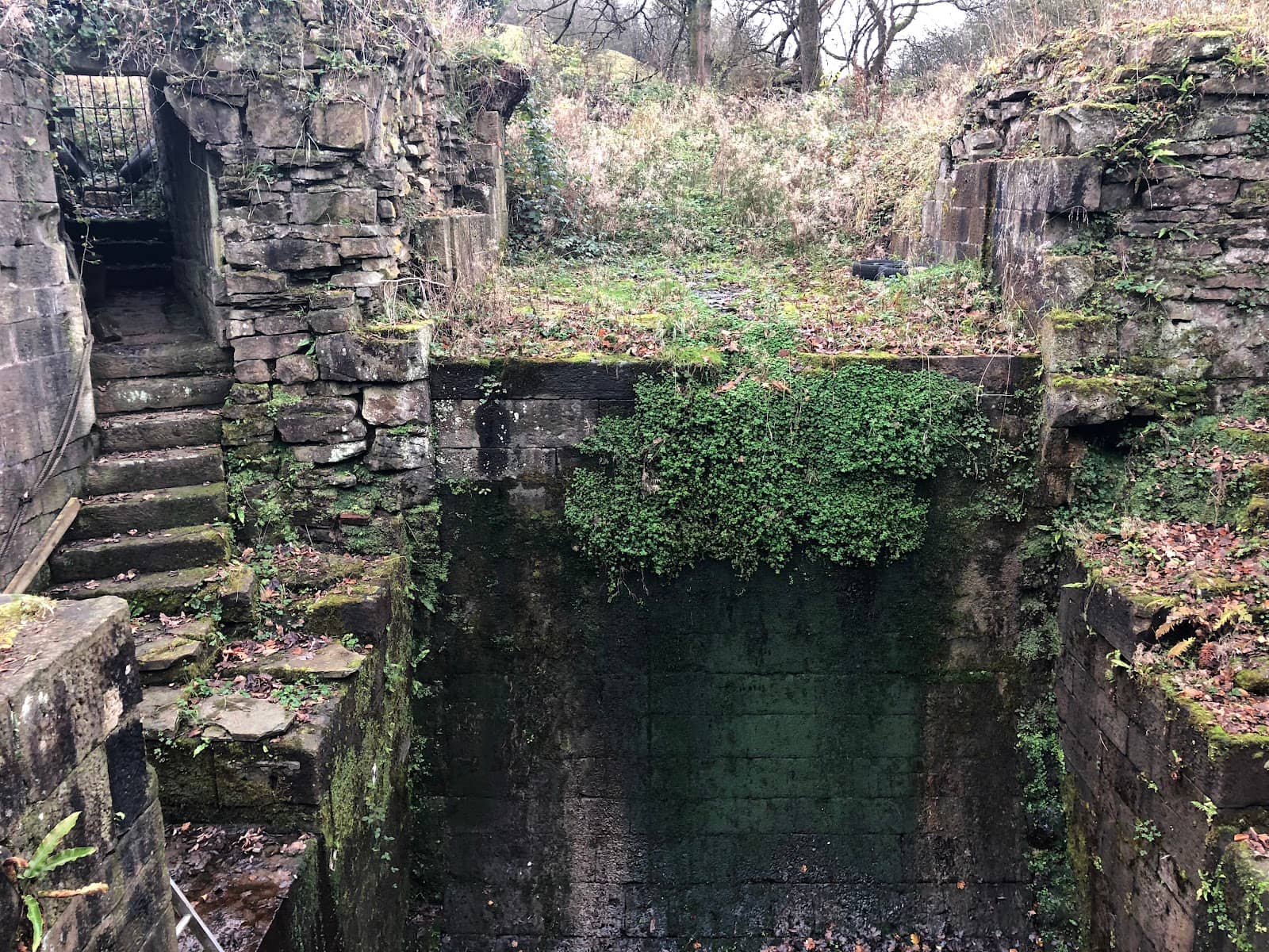 Vertical photo