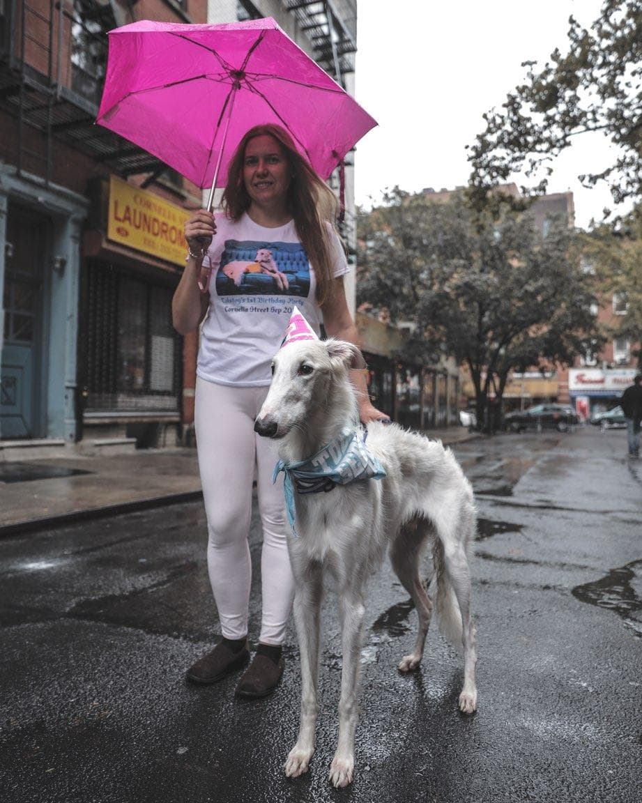 Cornelia Street Greenwich Village New York City - Image 1