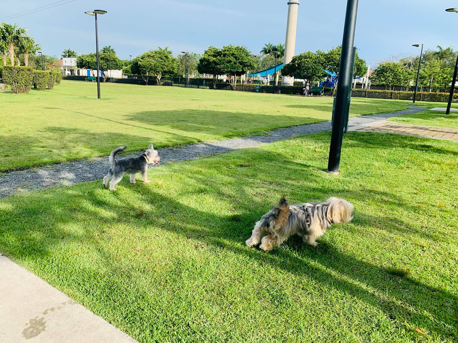 Adjacent Walking Trails