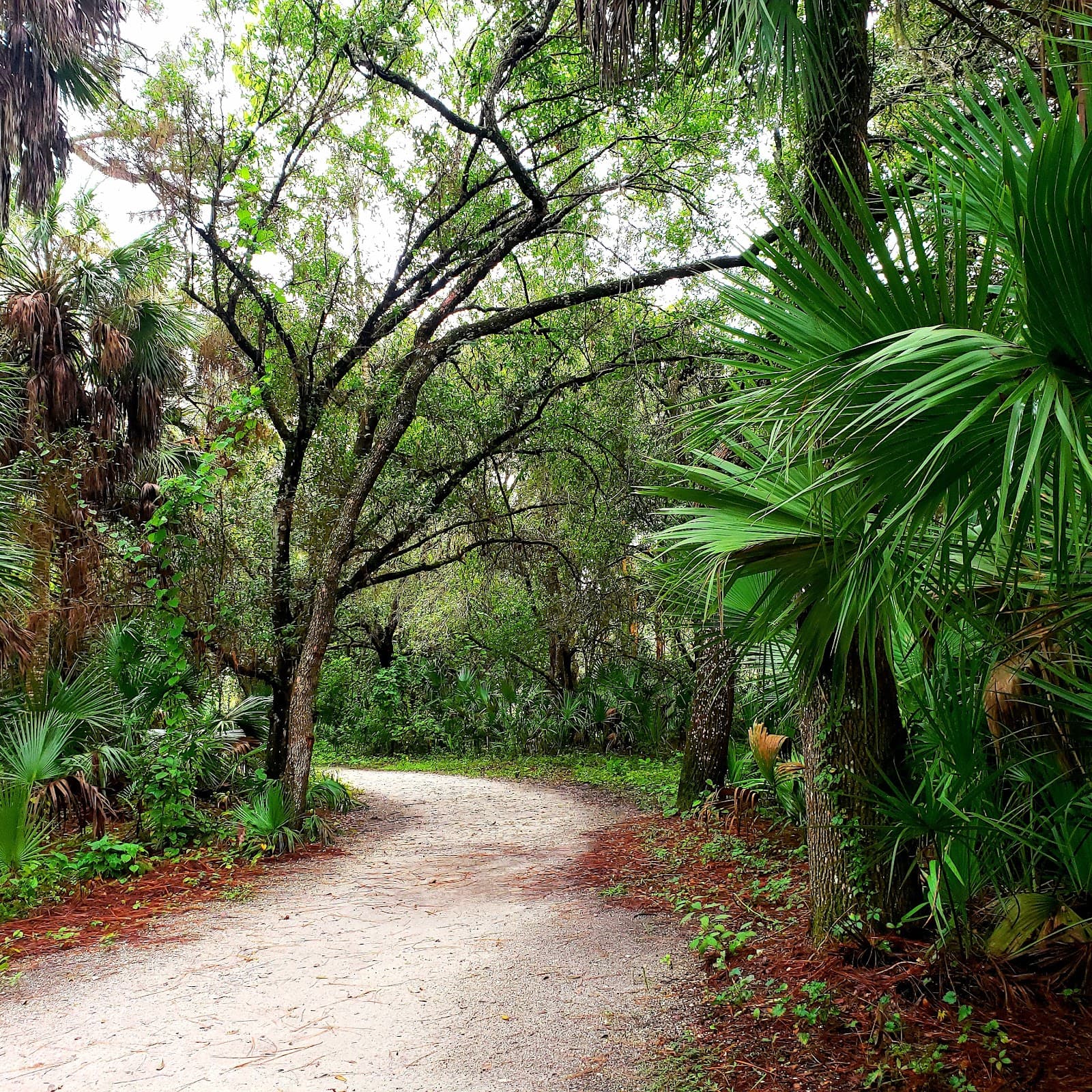 Kiwanis Park - Image 1