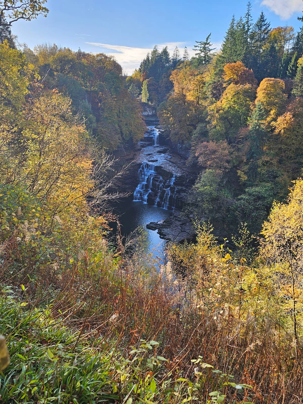 Vertical photo