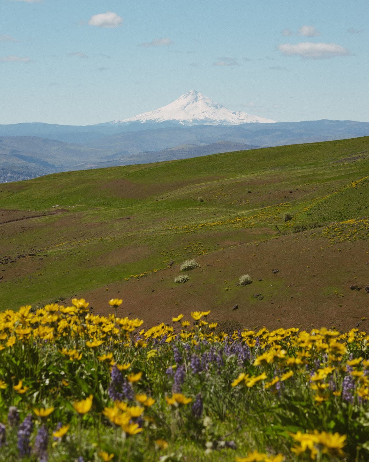 Columbia Hills Historical State Park - Image 1