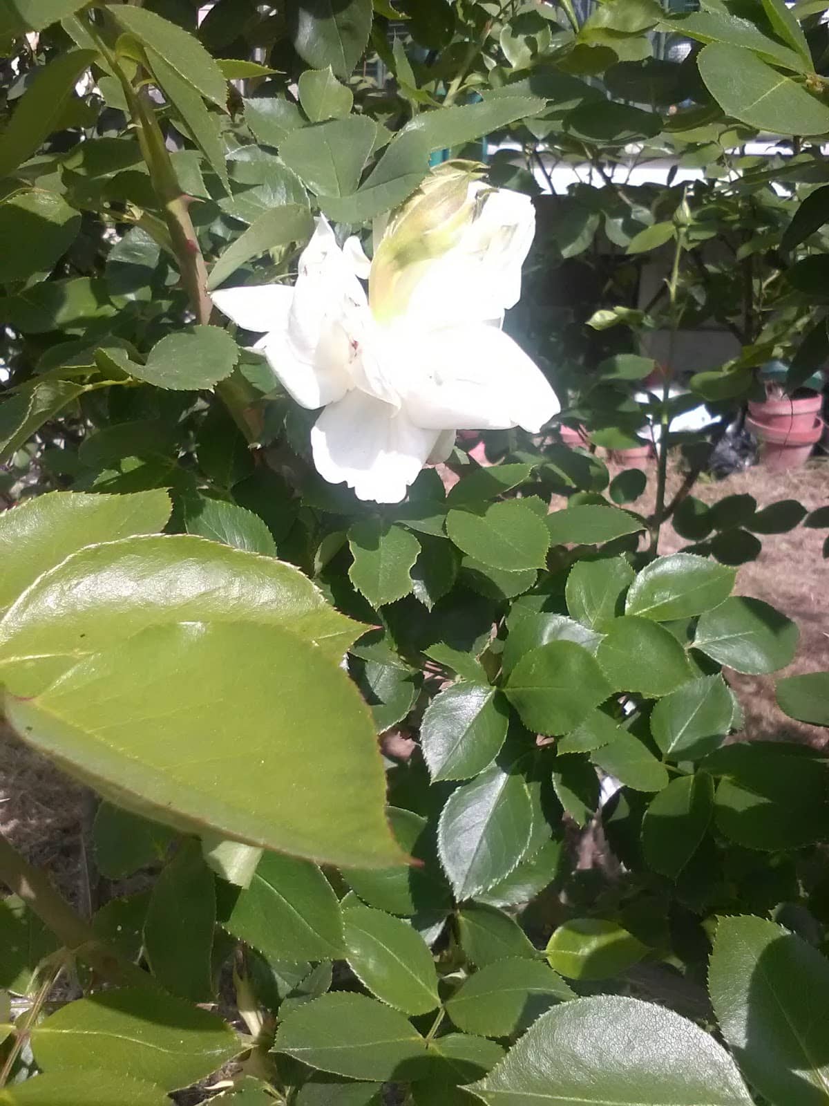 Birthday Party Venue