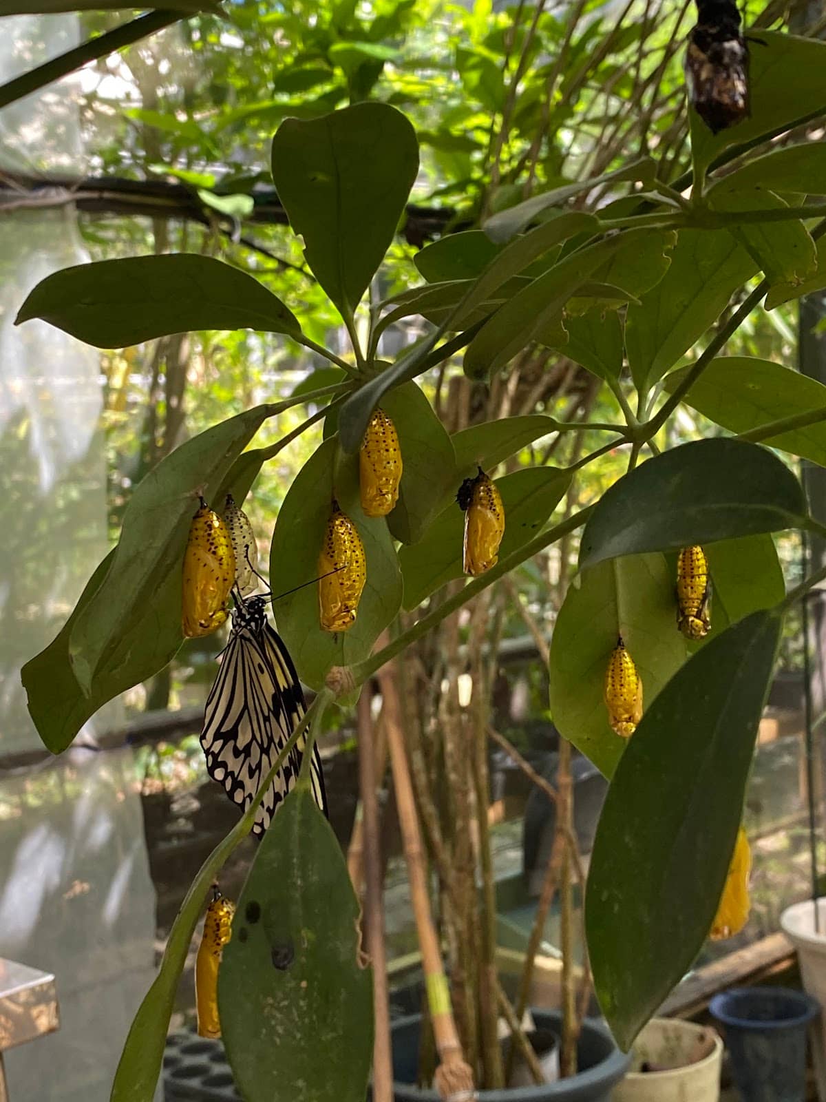 Interactive Encounters