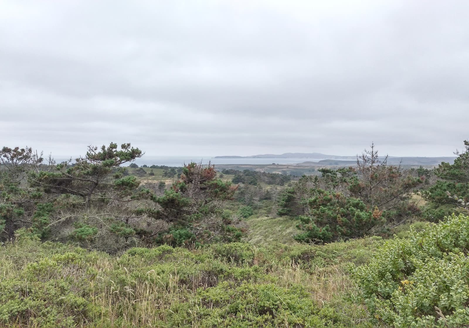 Estero Trail - Image 1