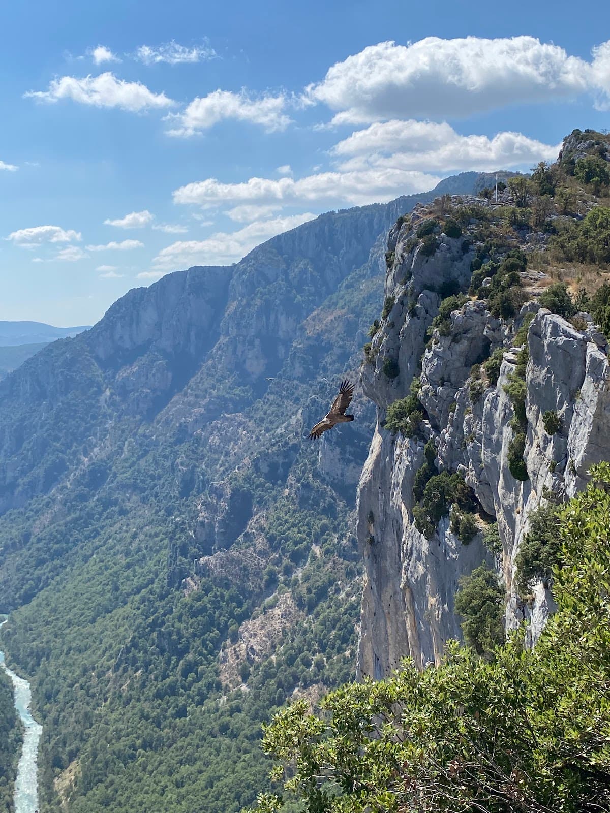 Route des Crêtes (D23) - Image 1
