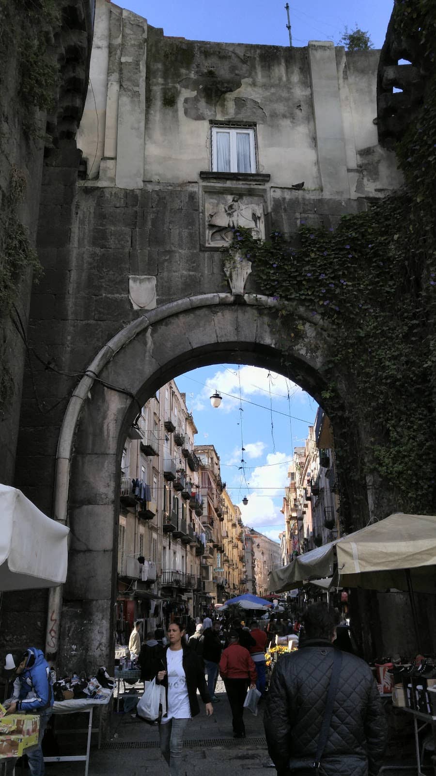 Vertical photo
