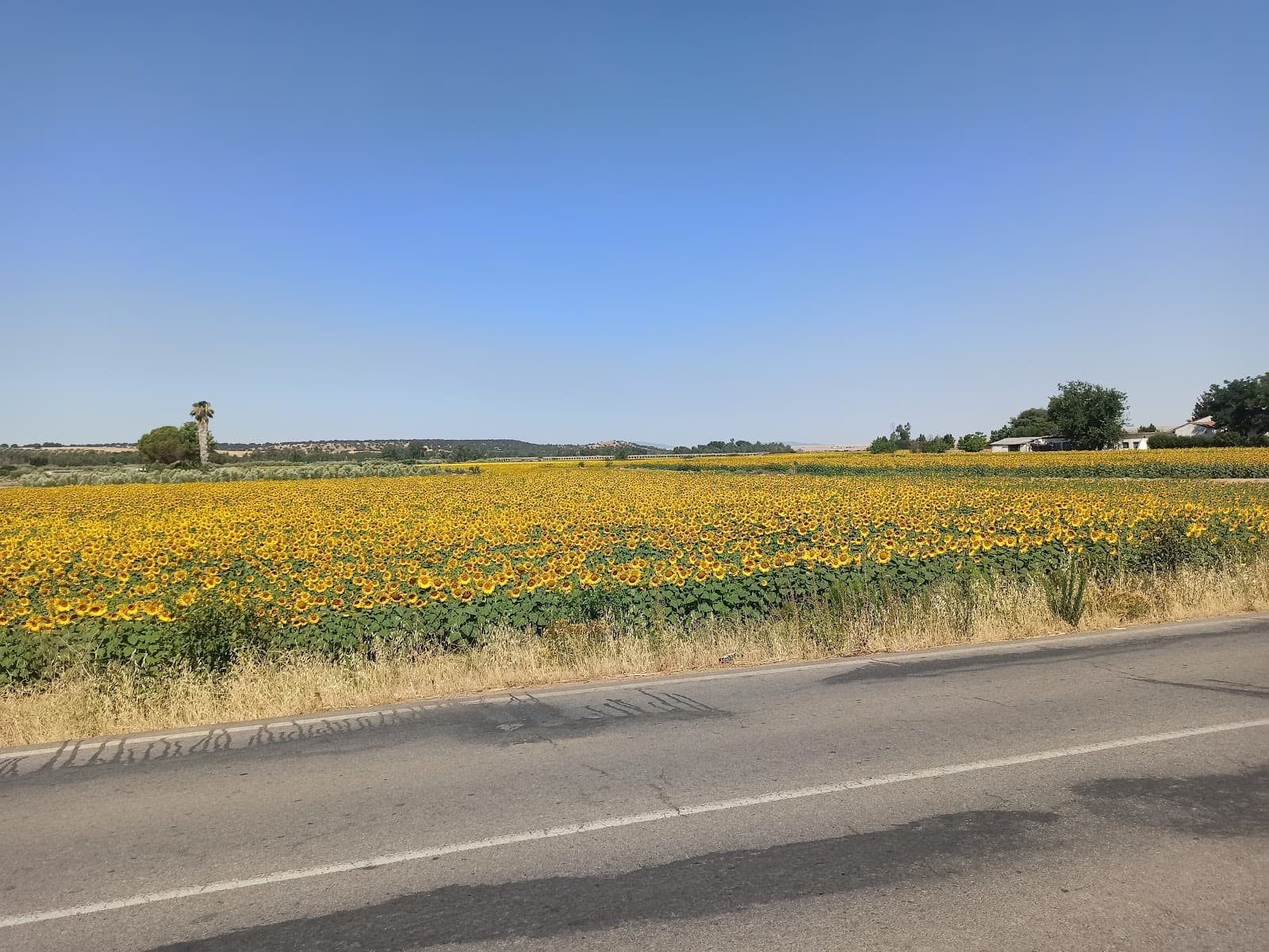 San Juan Donibane - Image 1