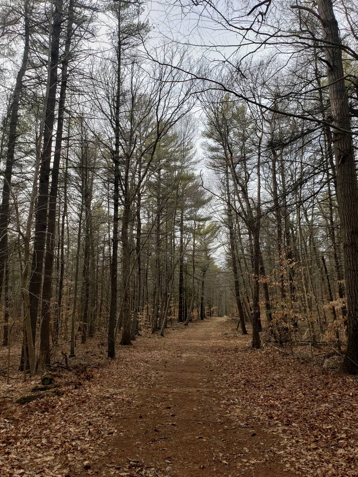 Watuppa Reservation History