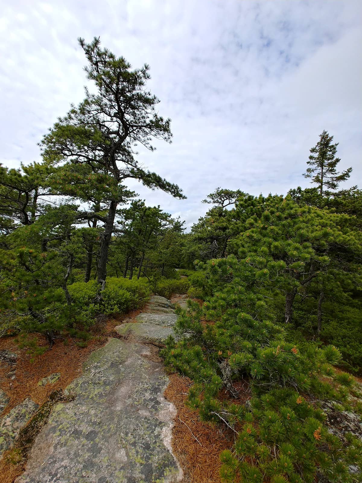 Vertical photo