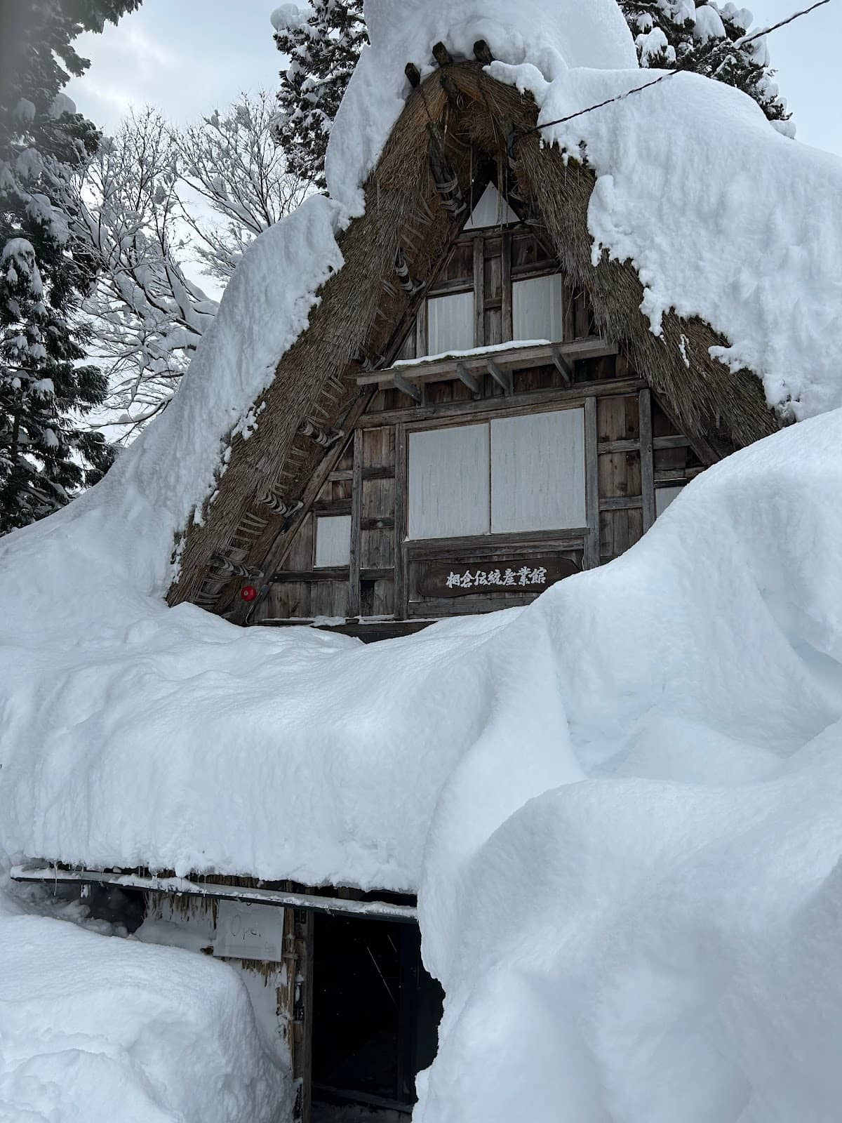 Personalized Curator Experience