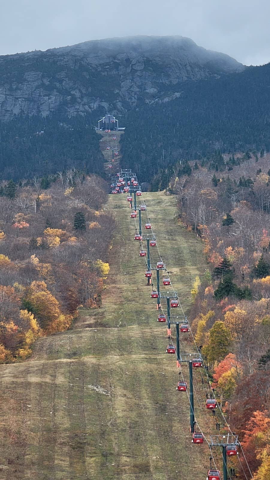 Vertical photo