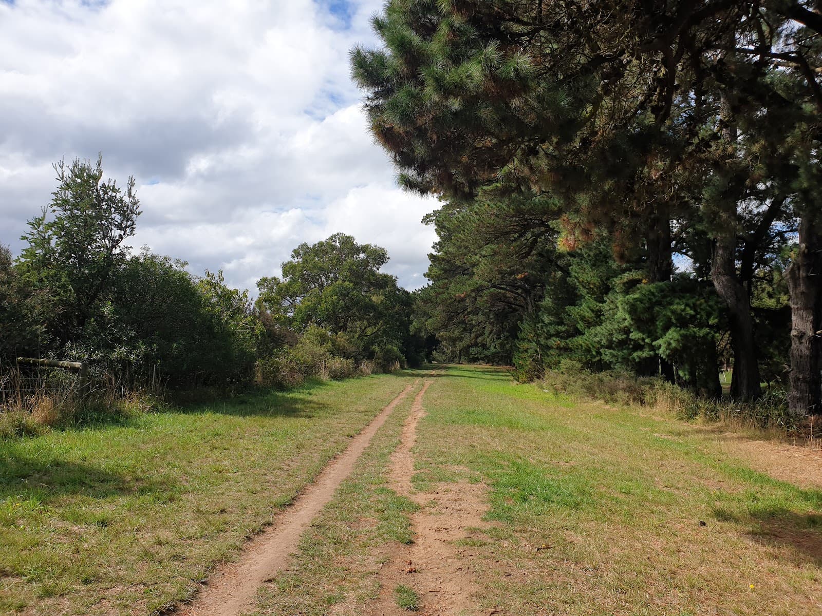 Red Hill–Merricks Rail Trail - Image 1