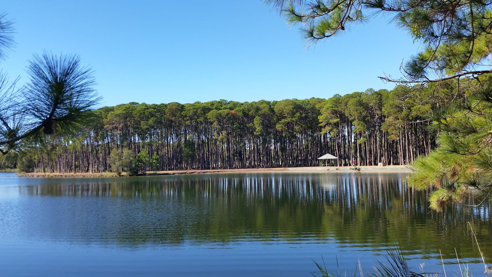 Burleigh Heads Skate Park - Image 1