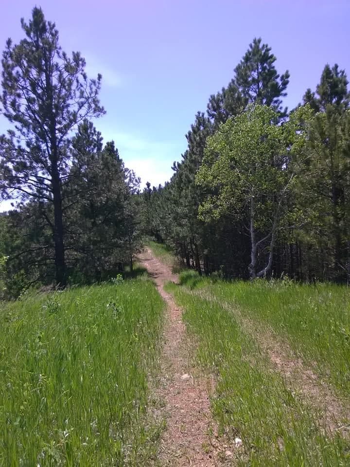 Homestake Trail Deadwood Lead - Image 1
